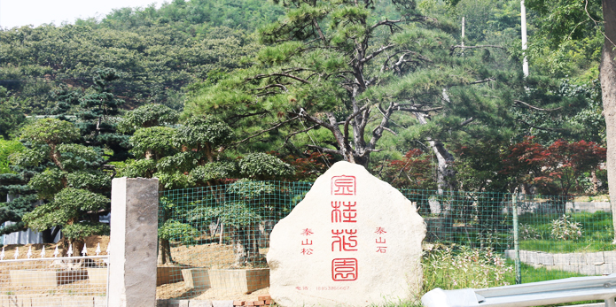 公司简介.jpg